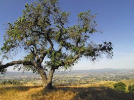 Getting out: Harvey Bear Ranch