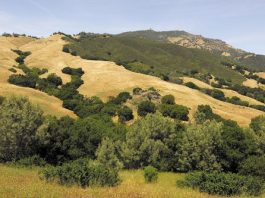 Getting out: Mount Diablo