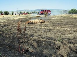 Blaze claims 58 hay bales, but nearby home protected