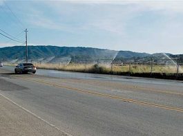 Red Phone: Road doesn’t need watering
