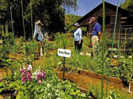 Getting out: Rancho San Antonio Park