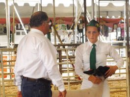 A fair showing for Gilroy’s budding farmers, ranchers