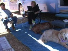 First at the Festival