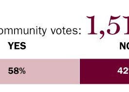 Community Pulse: Recall the mayor?
