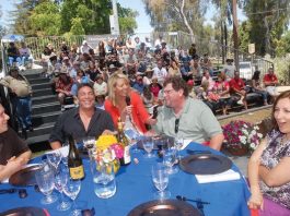 Conditions ripe for a “perfect” festival