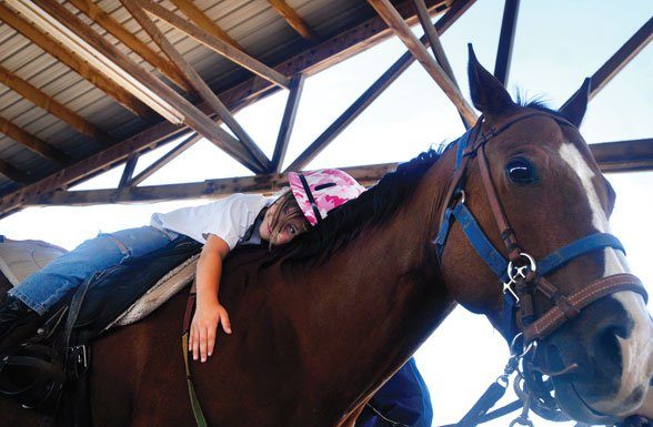 Not just horsing around