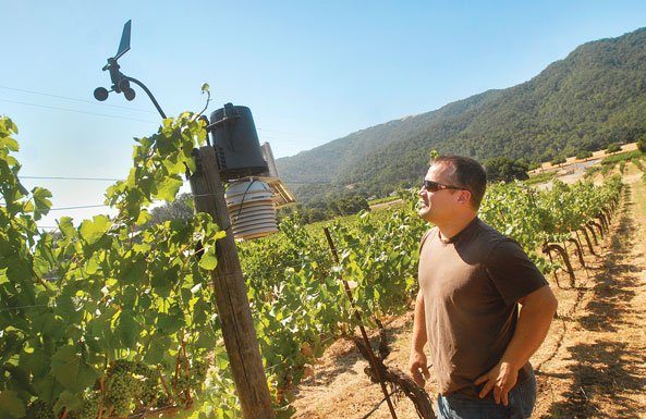 The science of Sarah’s Vineyard