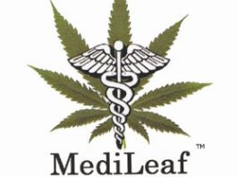 Council considers medical marijuana ordinance