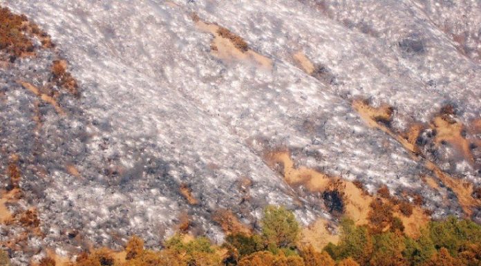 Lick Fire starter to pay $200,000 restitution, civil cases still pending
