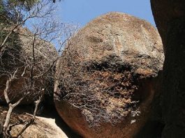 Pinnacles as a U.S. National Park?