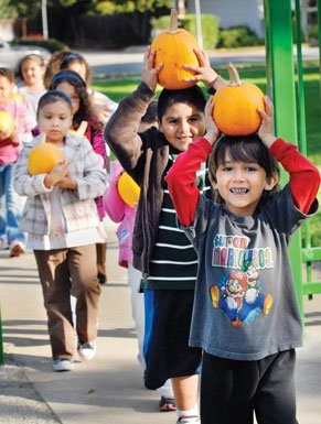 Picking the perfect pumpkin