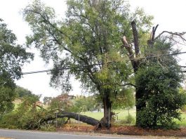 Calm sets in after storm