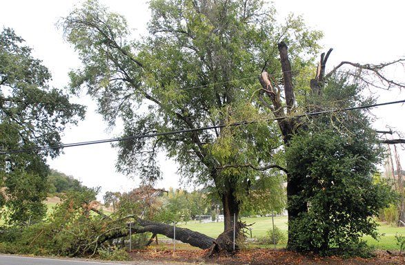 Calm sets in after storm