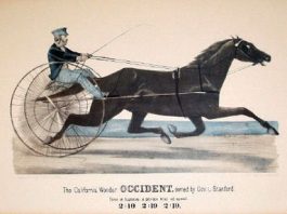 Eadweard Muybridge and moving pictures