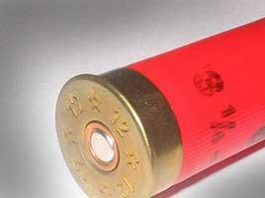 Men fire shotguns into home with children inside