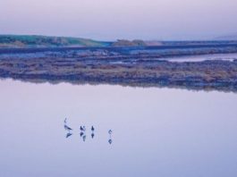 Magic can happen at daybreak