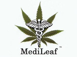 City will issue ‘cease and desist’ to marijuana dispensary