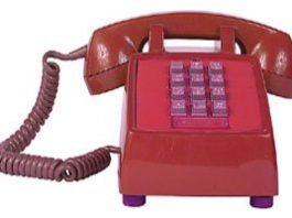 Red Phone: Animal control can’t be cut