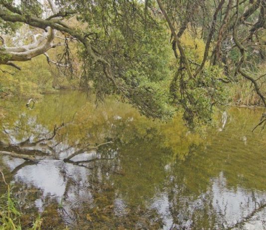 Don’t let the rain wash away your plans