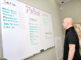 A budding business, or withering weed?