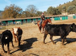 Cutting to the front