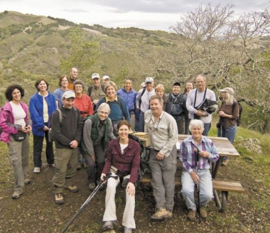 New Year, fresh air and friends