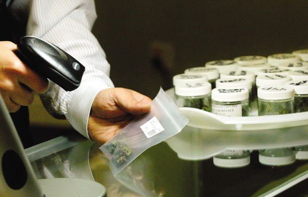 Marijuana in the classroom? Sometimes it’s legal