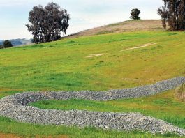 Garlic Fest’s $54K a fishy fix?