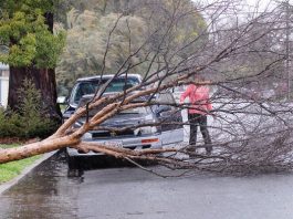 Batten down the hatches … rain, rain
