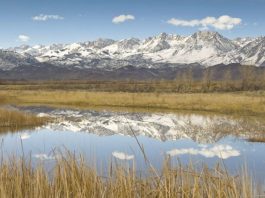 Winter on the east side of the Sierras