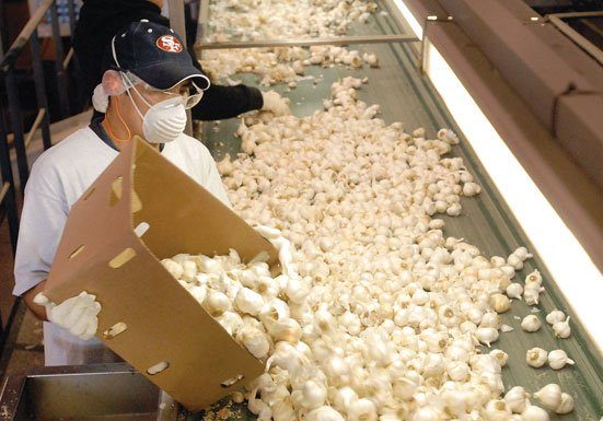 Stinkin’ rose profit