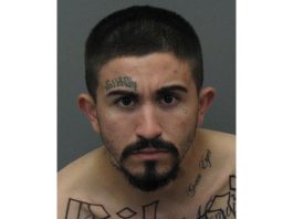 Police nab alleged armed robber