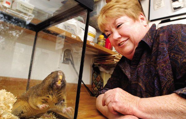 Popular local rodent will miss NASCAR race