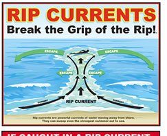 Gilroy men survive being swept away from shore