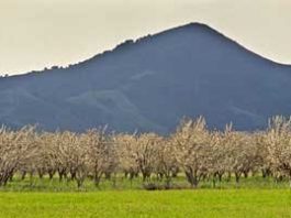 Get ready, get set, hike El Toro