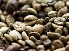 Caffeinated Life: Tasting the origins of coffee
