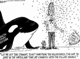 Editorial cartoons: Stuck between a whale and swarmed place