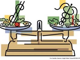 A balanced diet (and budget)