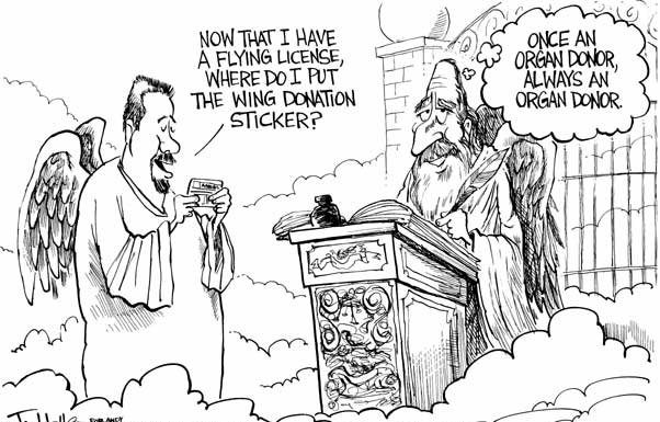 Editorial cartoons: A true angel investor