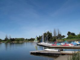 Local groups doing their part for Earth Day