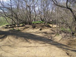 Red Phone: On a wild goose chase