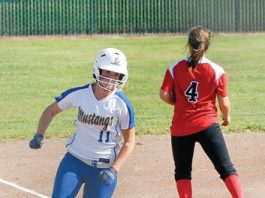 SOFTBALL: Not in the cards