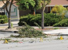 Two men dead, two sought by police after high-speed crash in residential neighborhood