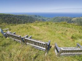 GETTING OUT: Readers, keep those suggestions coming