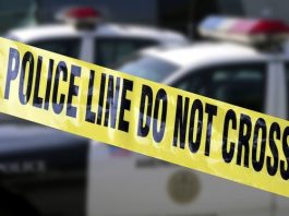 Car damaged in suspected gang shooting