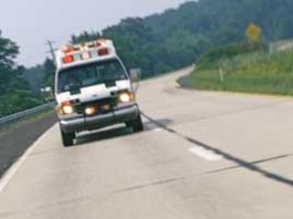 Santa Cruz woman saves dog with CPR