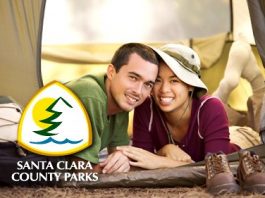 Guide the future of county parks