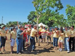 Demonstration Garden offers day camp sessions