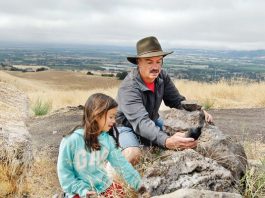 Searching for hidden treasure