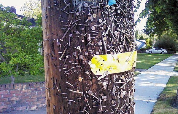 Letters: Residents should stop defacing poles and contributing to blight